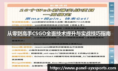 从零到高手CSGO全面技术提升与实战技巧指南